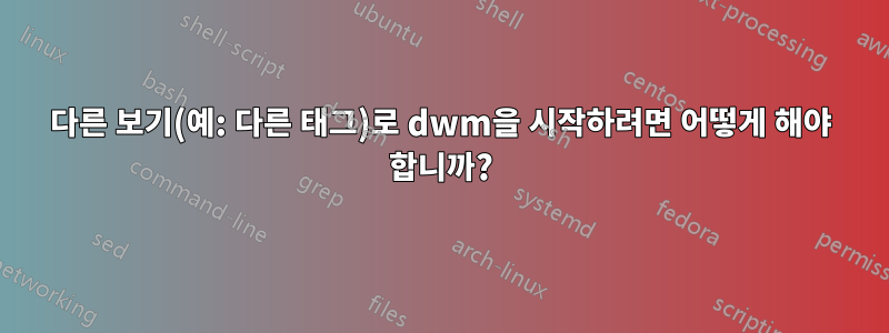 다른 보기(예: 다른 태그)로 dwm을 시작하려면 어떻게 해야 합니까?