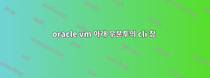 oracle vm 아래 우분투의 cli 창