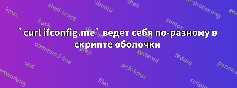 `curl ifconfig.me` ведет себя по-разному в скрипте оболочки