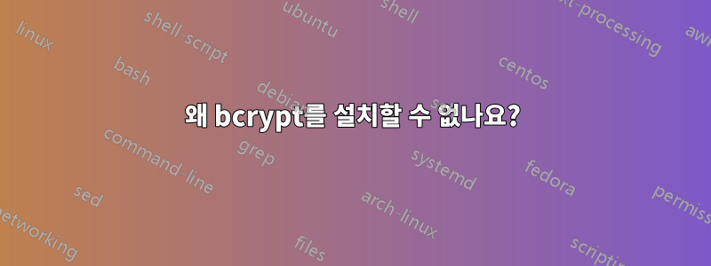 왜 bcrypt를 설치할 수 없나요?