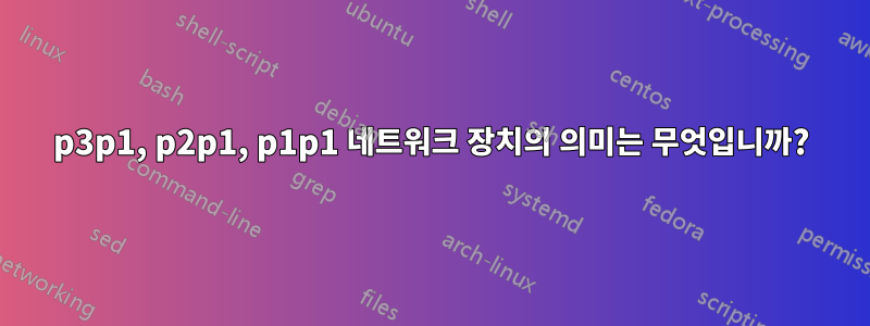 p3p1, p2p1, p1p1 네트워크 장치의 의미는 무엇입니까?