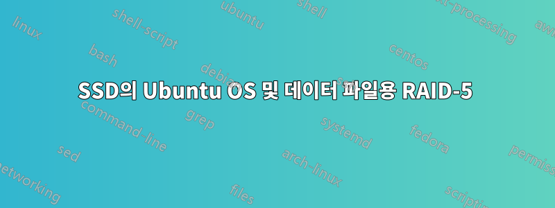 SSD의 Ubuntu OS 및 데이터 파일용 RAID-5