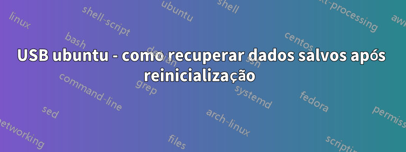 USB ubuntu - como recuperar dados salvos após reinicialização 