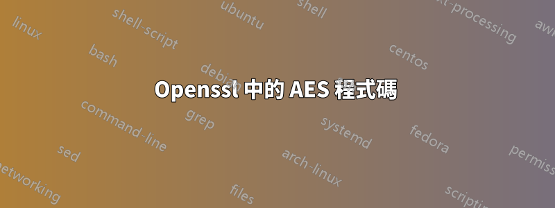 Openssl 中的 AES 程式碼