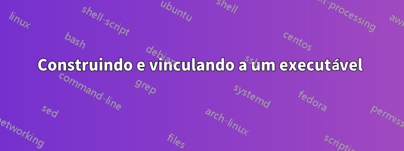 Construindo e vinculando a um executável