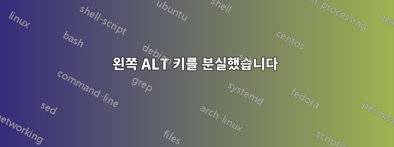 왼쪽 ALT 키를 분실했습니다