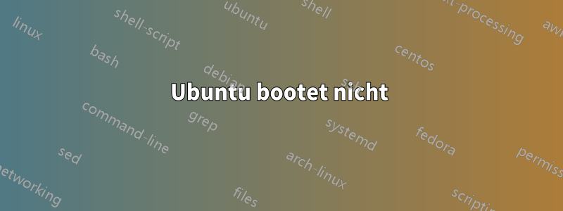 Ubuntu bootet nicht