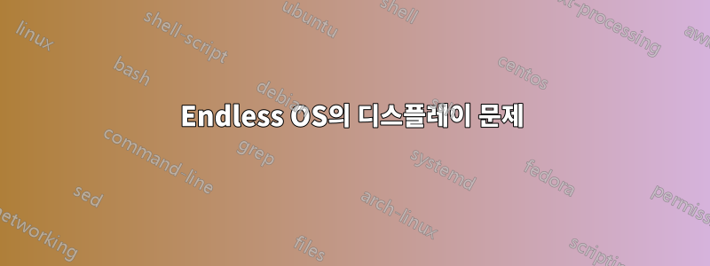 Endless OS의 디스플레이 문제