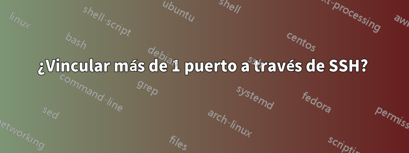 ¿Vincular más de 1 puerto a través de SSH?