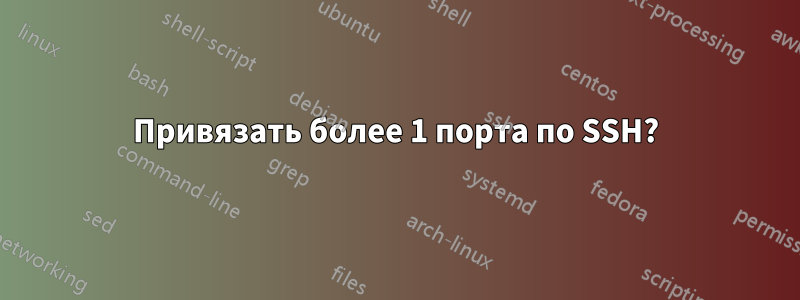 Привязать более 1 порта по SSH?