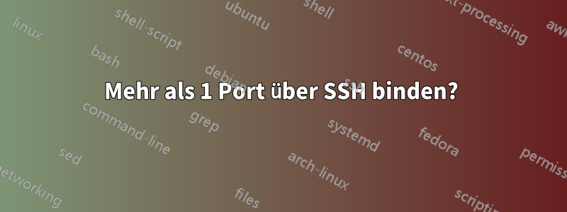 Mehr als 1 Port über SSH binden?