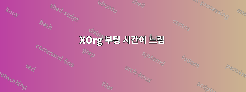 XOrg 부팅 시간이 느림