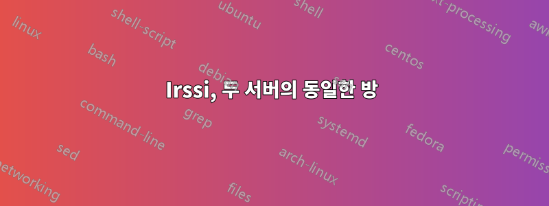 Irssi, 두 서버의 동일한 방