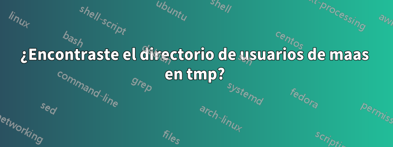 ¿Encontraste el directorio de usuarios de maas en tmp?