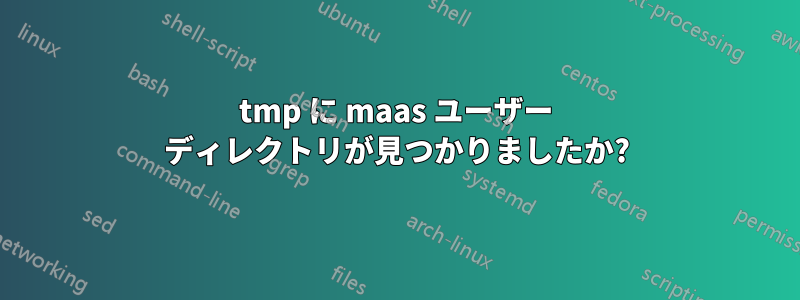 tmp に maas ユーザー ディレクトリが見つかりましたか?