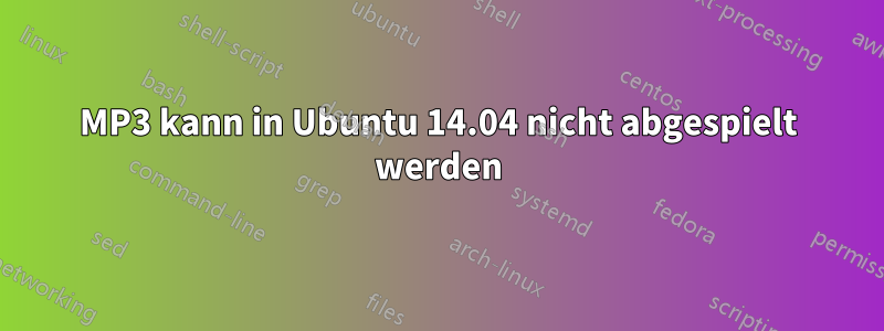 MP3 kann in Ubuntu 14.04 nicht abgespielt werden
