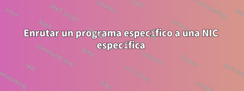 Enrutar un programa específico a una NIC específica