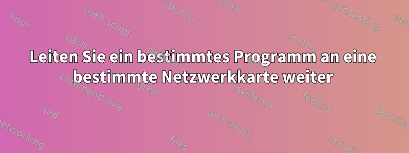 Leiten Sie ein bestimmtes Programm an eine bestimmte Netzwerkkarte weiter
