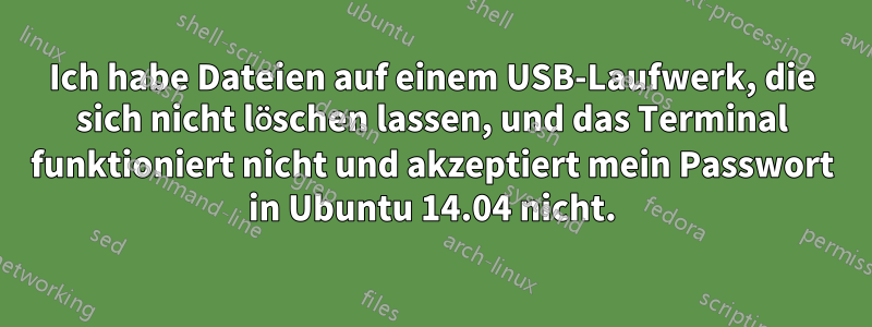 Ich habe Dateien auf einem USB-Laufwerk, die sich nicht löschen lassen, und das Terminal funktioniert nicht und akzeptiert mein Passwort in Ubuntu 14.04 nicht.