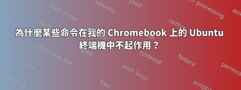 為什麼某些命令在我的 Chromebook 上的 Ubuntu 終端機中不起作用？