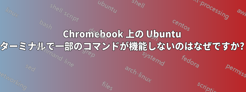 Chromebook 上の Ubuntu ターミナルで一部のコマンドが機能しないのはなぜですか?
