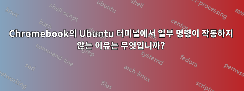 Chromebook의 Ubuntu 터미널에서 일부 명령이 작동하지 않는 이유는 무엇입니까?