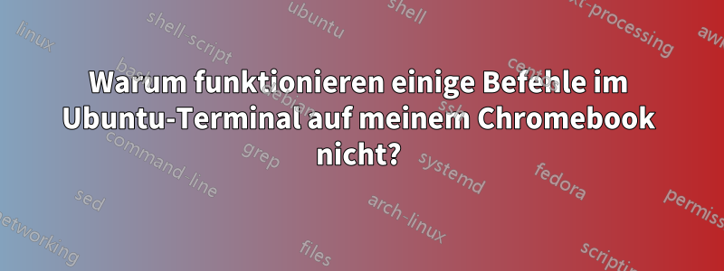 Warum funktionieren einige Befehle im Ubuntu-Terminal auf meinem Chromebook nicht?