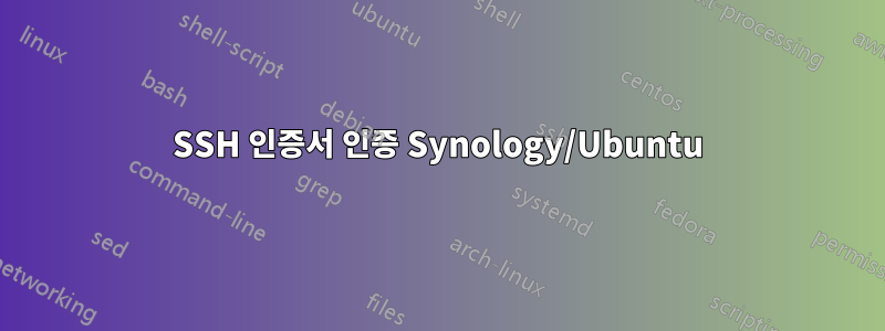 SSH 인증서 인증 Synology/Ubuntu