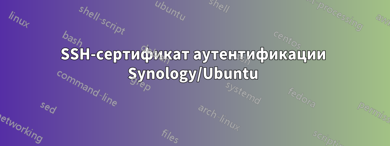 SSH-сертификат аутентификации Synology/Ubuntu