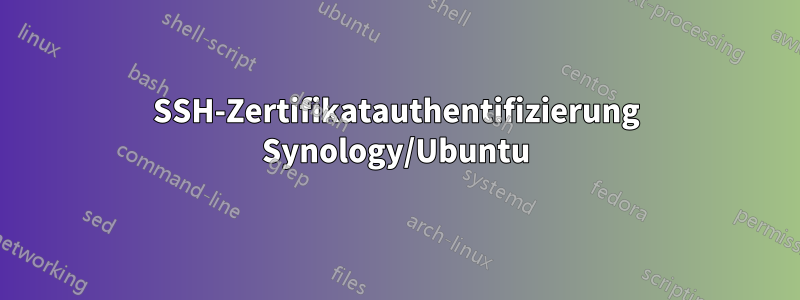 SSH-Zertifikatauthentifizierung Synology/Ubuntu