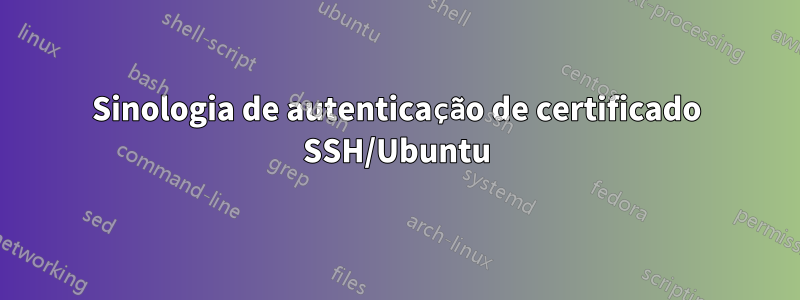 Sinologia de autenticação de certificado SSH/Ubuntu