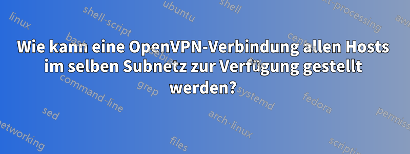 Wie kann eine OpenVPN-Verbindung allen Hosts im selben Subnetz zur Verfügung gestellt werden?