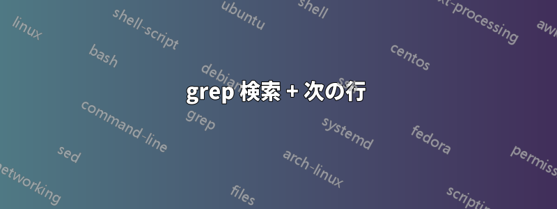 grep 検索 + 次の行