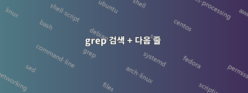 grep 검색 + 다음 줄