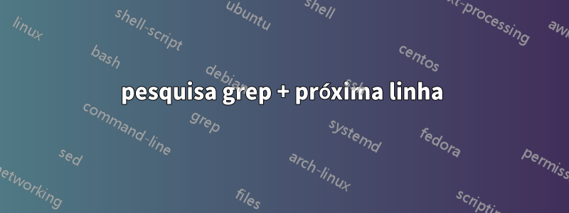 pesquisa grep + próxima linha