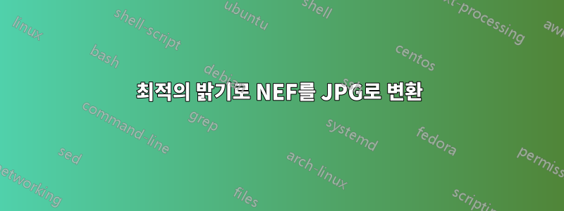 최적의 밝기로 NEF를 JPG로 변환