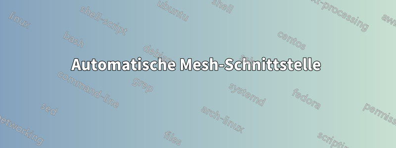 Automatische Mesh-Schnittstelle