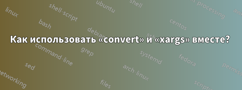 Как использовать «convert» и «xargs» вместе?
