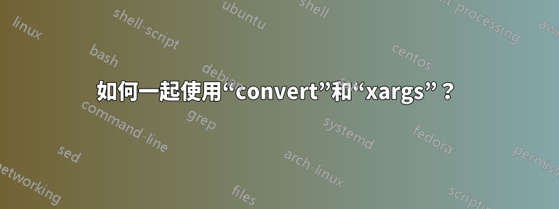如何一起使用“convert”和“xargs”?