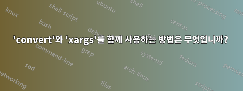 'convert'와 'xargs'를 함께 사용하는 방법은 무엇입니까?