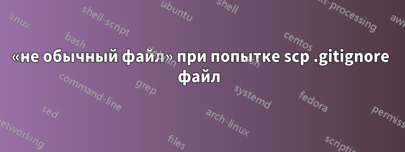 «не обычный файл» при попытке scp .gitignore файл 