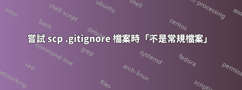 嘗試 scp .gitignore 檔案時「不是常規檔案」