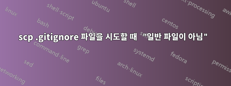 scp .gitignore 파일을 시도할 때 "일반 파일이 아님"