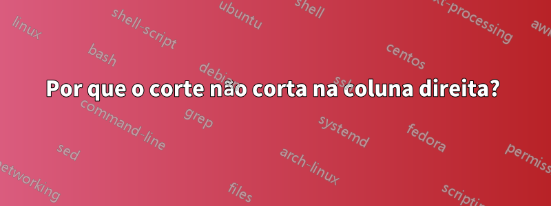 Por que o corte não corta na coluna direita?