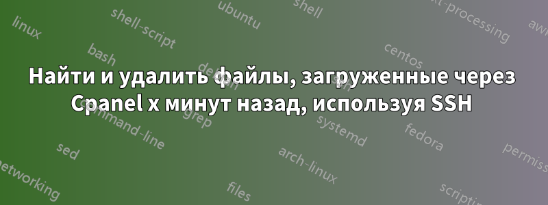 Найти и удалить файлы, загруженные через Cpanel x минут назад, используя SSH
