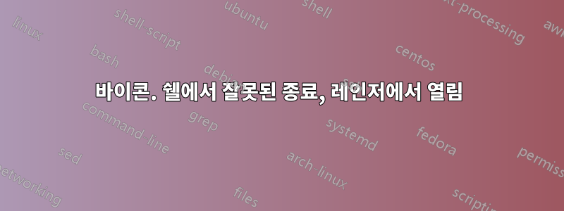 바이콘. 쉘에서 잘못된 종료, 레인저에서 열림