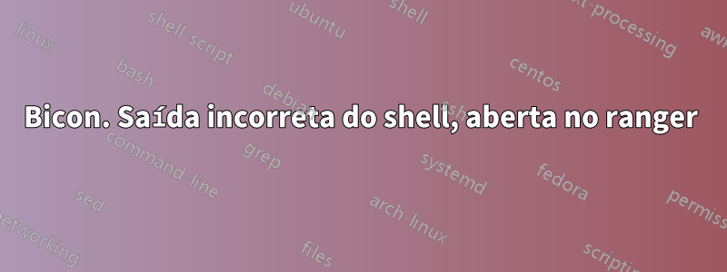 Bicon. Saída incorreta do shell, aberta no ranger
