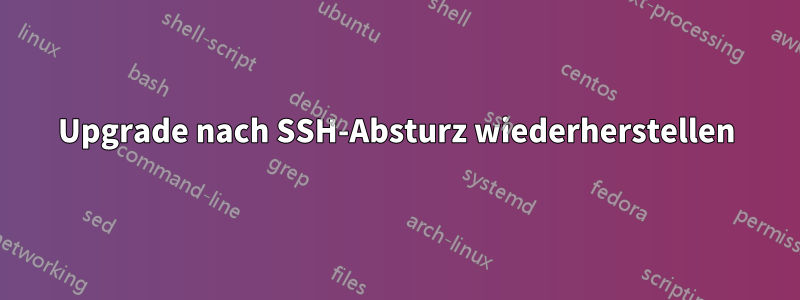 Upgrade nach SSH-Absturz wiederherstellen
