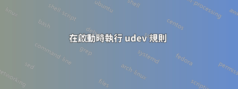 在啟動時執行 udev 規則