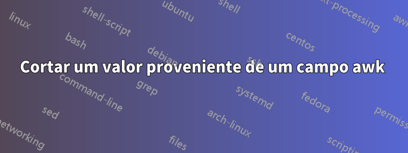 Cortar um valor proveniente de um campo awk